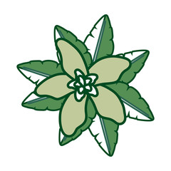  flower with petals green   vector illustration  