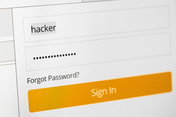 Login and password fields on screen