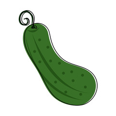 Pickle vegetable isolated