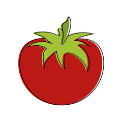 Tomato fresh vegetable