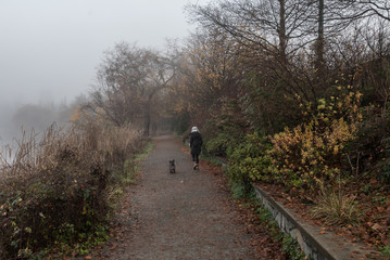 lady and a dog walking by the park on a foggy day