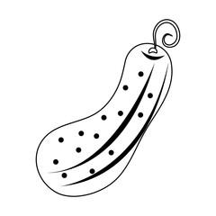 Pickle vegetable isolated