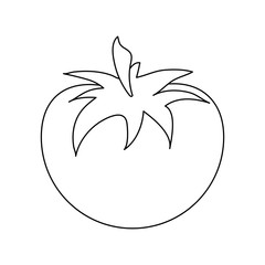 Tomato fresh vegetable