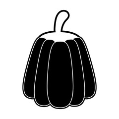 Pumpkin vegetable isolated