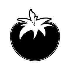 Tomato fresh vegetable