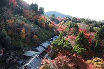 Kyoto; Japan - November 25 2017 : the Kiyomizu Dera temple