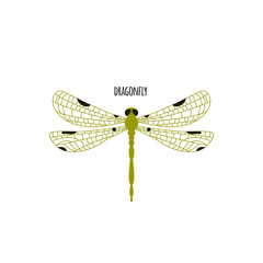 Dragonfly animal logo. Vector illustration 