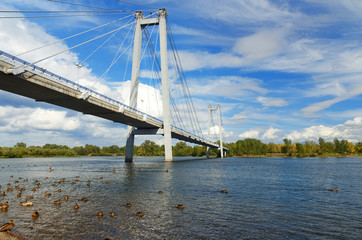 Fototapeta na wymiar Vynogradovskiy Bridge across the Yenisei river. Cable-stayed bridge to Tatyshev island. Krasnoyarsk, Russia
