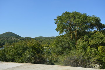 nature