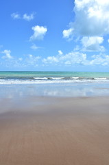 Fototapeta na wymiar Beach and ocean by Zumbi village on the shore of Brazil