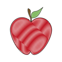 Apple fruit isolated icon vector illustration graphic design