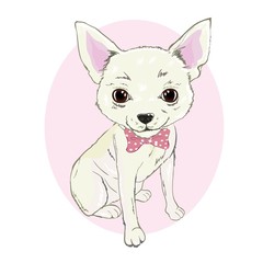 Girl Chihuahua illustration print. Cute fashionable dog vector sketch.