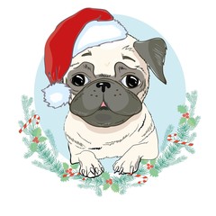 Portrait of cute french bulldog in red christmas hat on blue background. Vector illustration. Santa Claus. New Year's and Christmas.