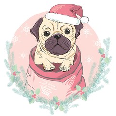Portrait of cute french bulldog in red christmas hat on blue background. Vector illustration. Santa Claus. New Year's and Christmas.