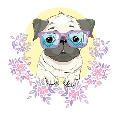 Pug dog face - vector illustration isolated on white background