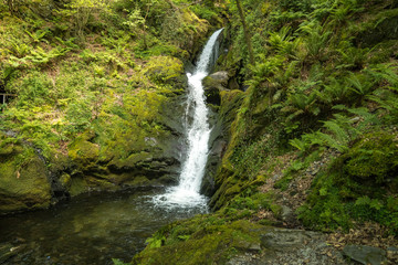 Waterfalls near Dolgoch, Gwynedd, Wales, UK