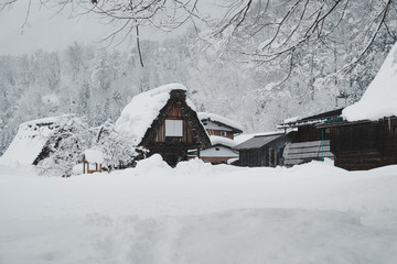 Historic Villages of Shirakawa-go, Japan in snowy day, film tone, classic look.