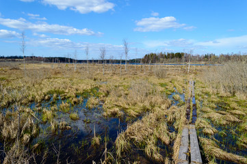 empty fields in autumn in countryside
