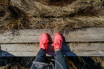 womans legs on the path