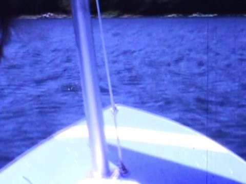 Sailing Sunfish Sailboat Across Freshwater Pond On Summers Day In 1971