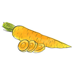 vector drawing carrot