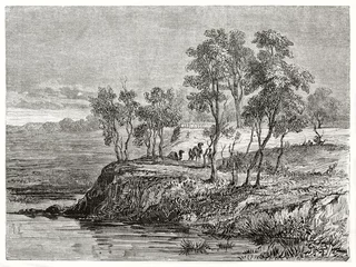 Rollo Natural landscape depicting a vegetation on a bank of a lake or river and little camels walking on it. Cooper Creek Queensland Australia. By Guimaud published on Le Tour du Monde Paris 1862 © Mannaggia
