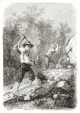 Ancient gold prospectors hitting a rocky ground with their pickaxes in California. Crushing mineral by pick (Chilean method). Created by Manin published on Le Tour du Monde Paris 1862