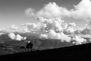 Obraz na płótnie Canvas Some little trees and a windsock on top of Subasio mountain (Umbria), with other mountains and big, low clouds on the background