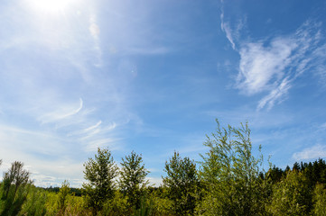 Obraz premium empty colorful meadows in countryside with flowers in foreground
