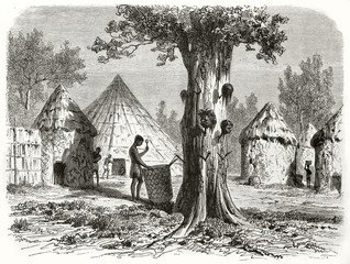 Macabre war tree in an ancient African village with heads impaled in the bark with spikes. Created by Girardet after Bolognesi published on Le Tour du Monde Paris 1862