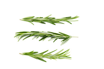rosemary isolated on white