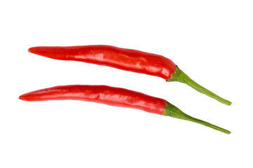 hot peppers isolated