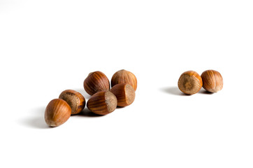 hazelnuts with shell