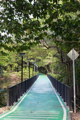 Fototapeta na wymiar Road pathway in the park for relaxing walking jogging or running and exercise