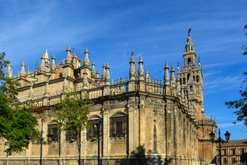 Fototapeta na wymiar Spain Andalusia Sevilla cathedral