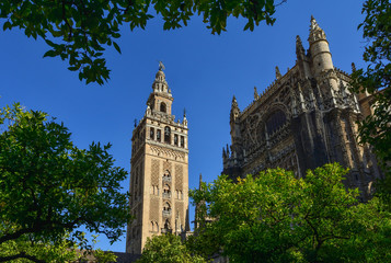 Fototapeta na wymiar Spain Andalusia Sevilla cathedral