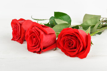 Beautiful red roses on a white wooden background. Free space for text.