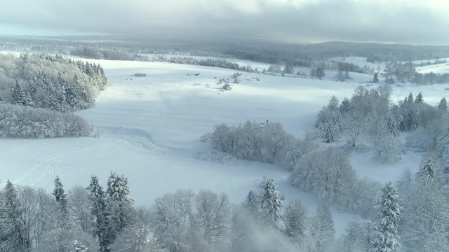 Aerial shot along the meadow among the Carpathian Mountains in winter 4K