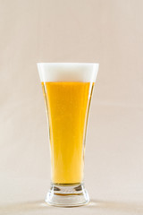 glass of light beer on light background