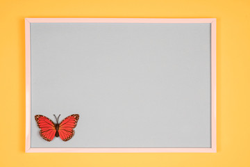 decorative butterfly in a white frame on a colored background	