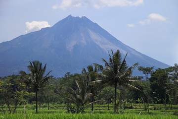Merapi volcano landscape, Java, Indonesia. View of Merapi volcano
