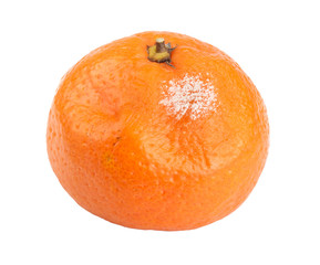 one moldy tangerine isolated on white background