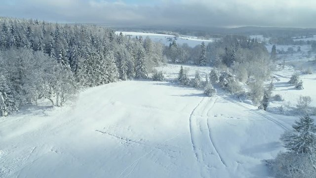 Aerial shot along the meadow among the Carpathian Mountains in winter 4K