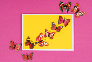decorative butterflies in a white frame on a colored background