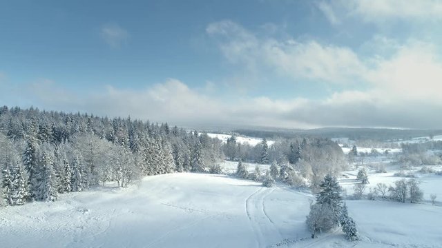 Aerial shot along the meadow among the Carpathian Mountains in winter 4K