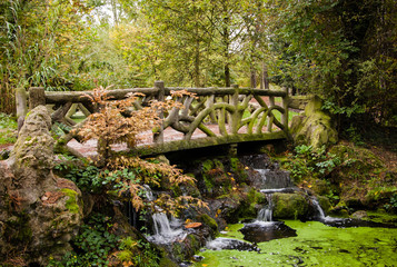 Beautiful bridge over the forest stream fitting perfectly into the environment. Autumn in Vincennes...