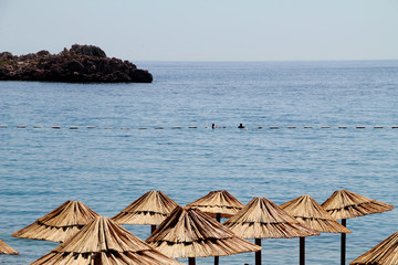 Budva, Montenegro, Adria, Sandstrand, Meer, Palme, Sonne, blau