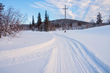 The ski track follows the snow next to the power line in the winter forest.