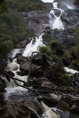 St Columba Falls in Tasmania
