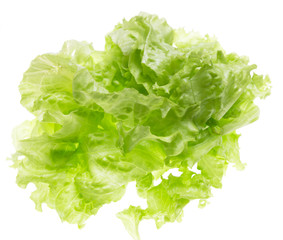 cut salad leaves on a white background